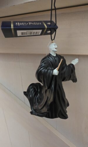 Harry potter,  Voldemort