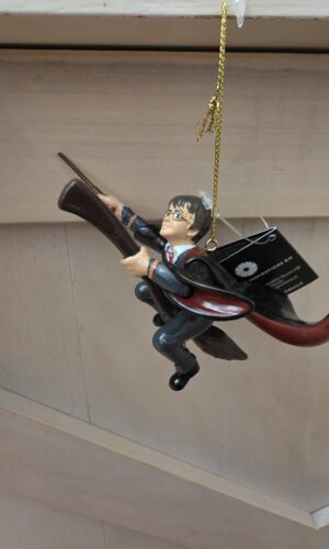 Harry Potter, Harry 2